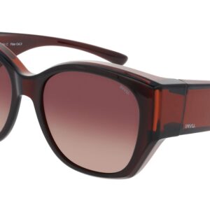 Husmann Optiek Invu IE22601C brown